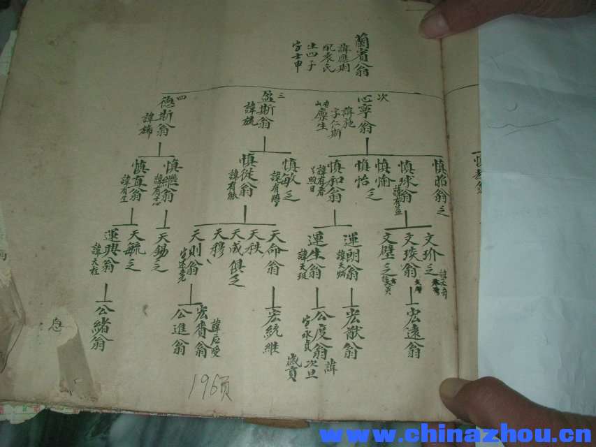 參考資料周天柱