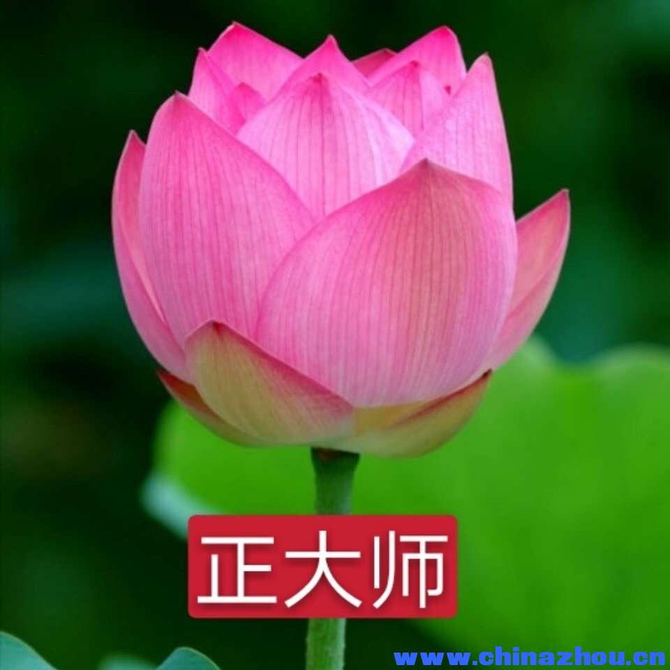正大师：提字扁额