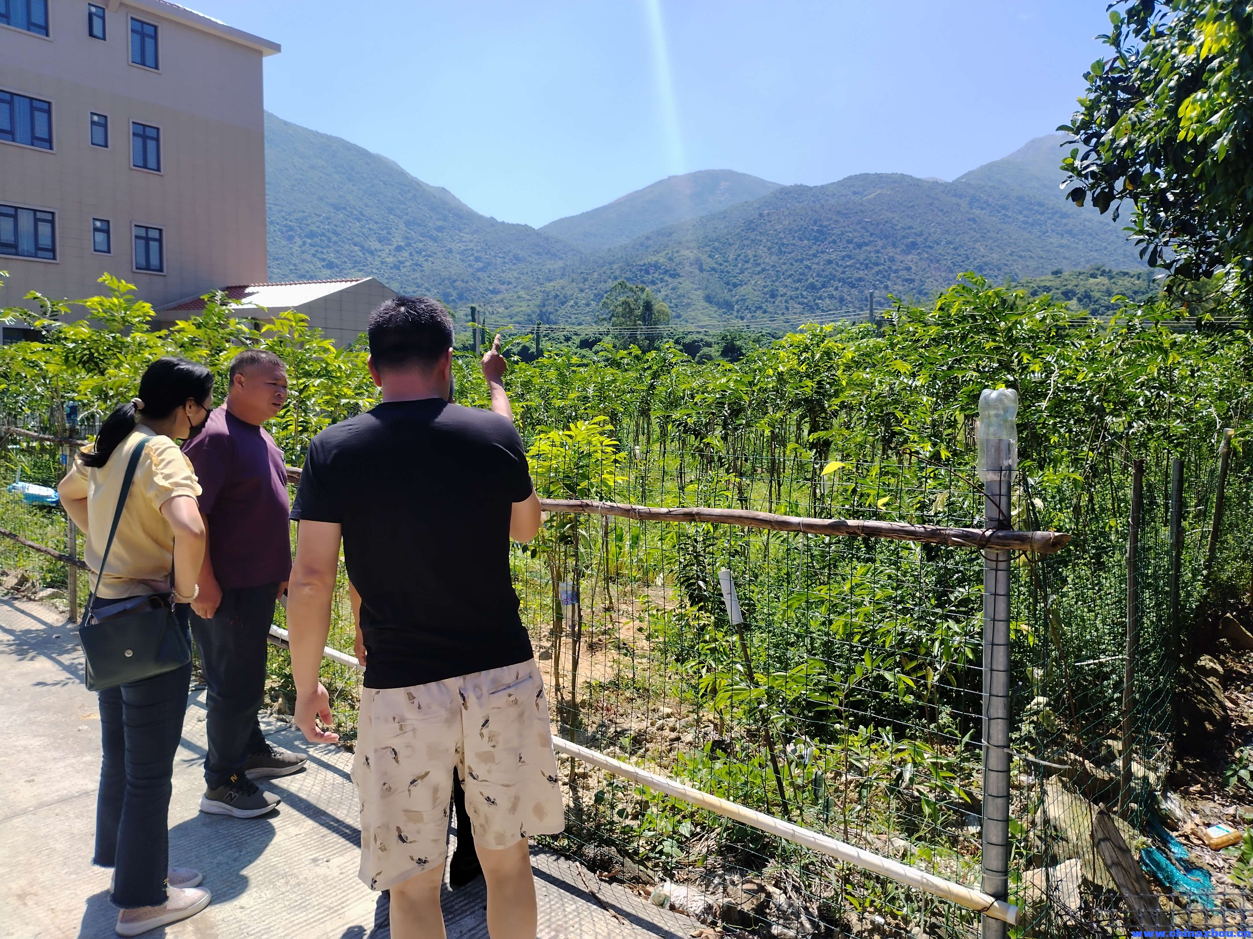 探坊江门台山北陡下洞村