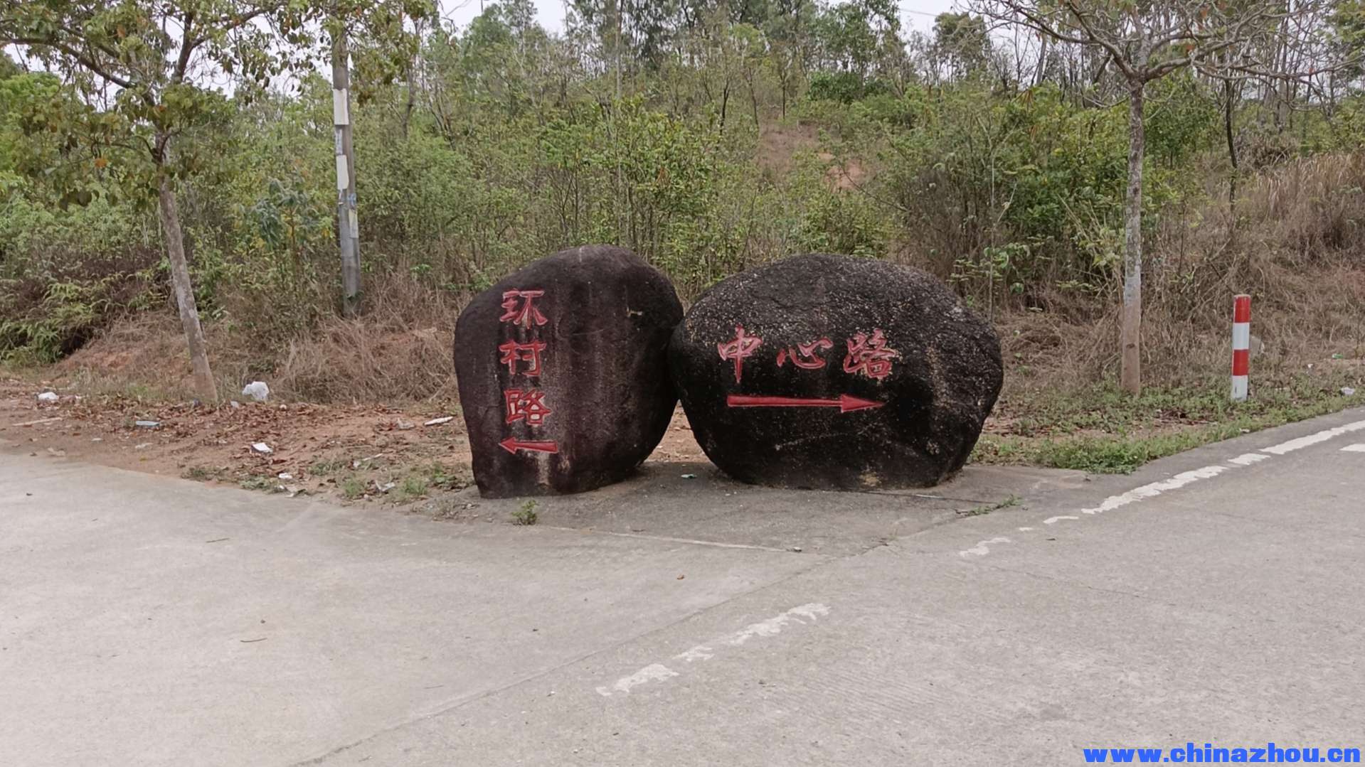 周天佑