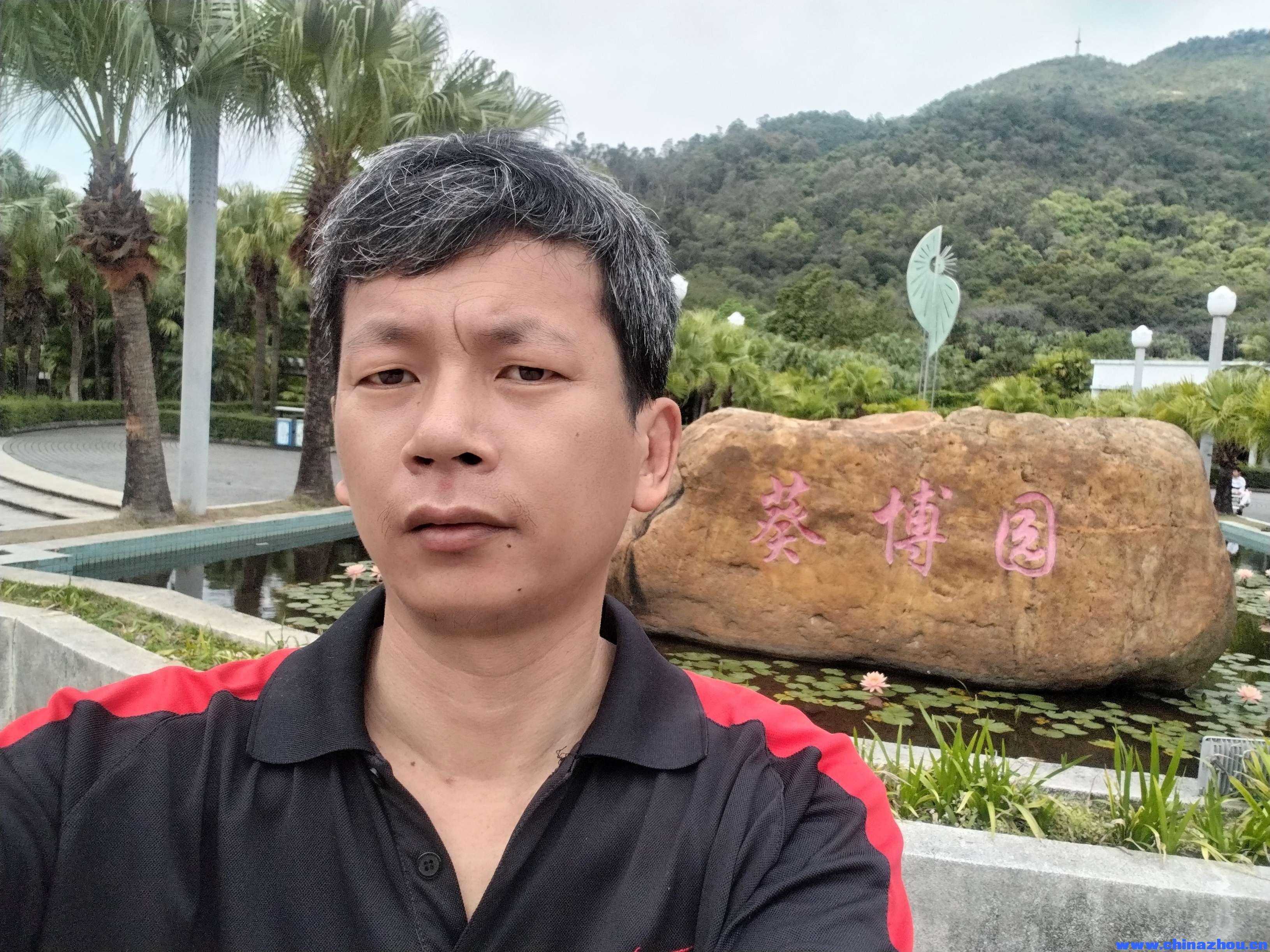 新会葵扇的历史