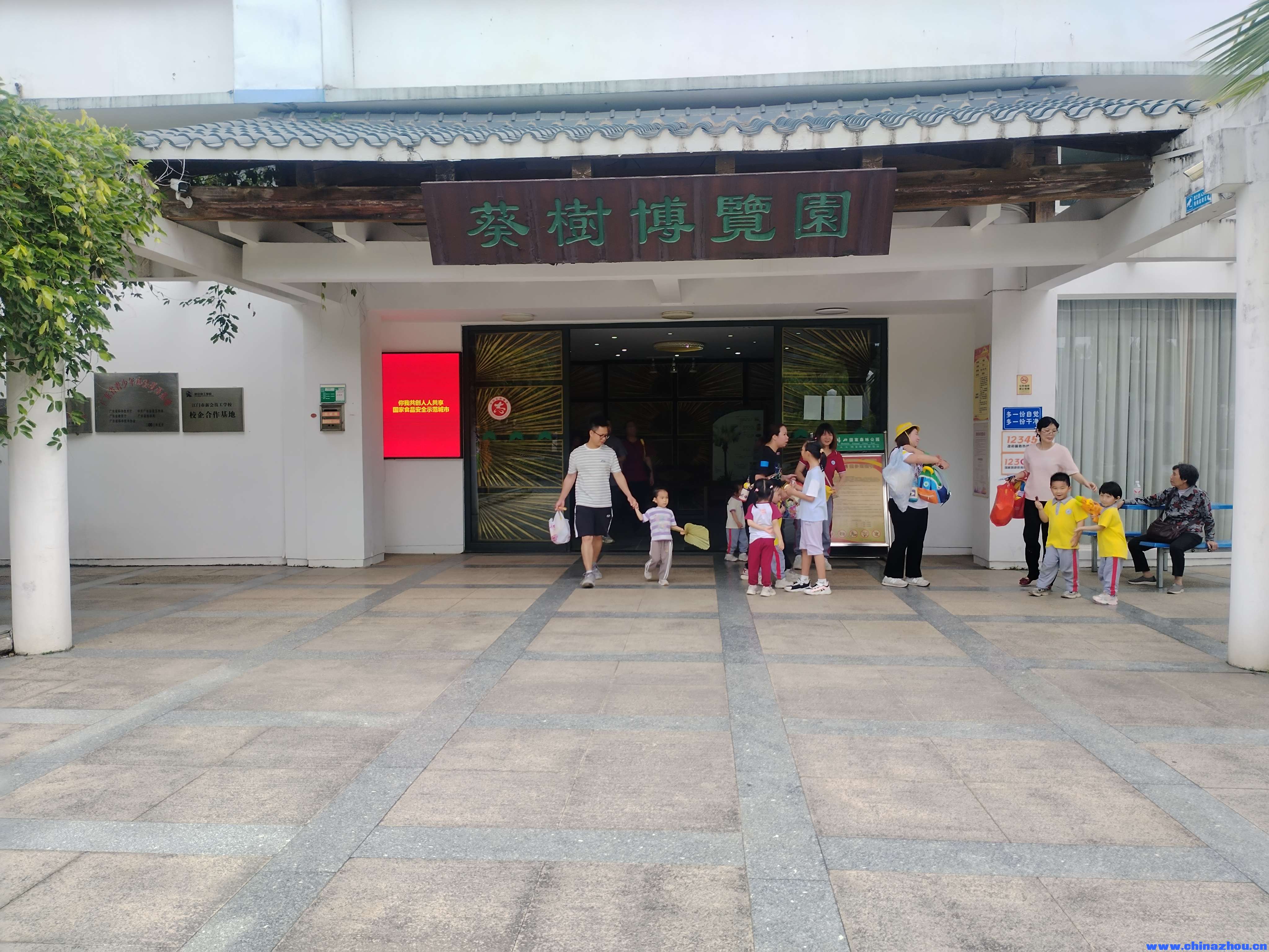 新会葵扇的历史