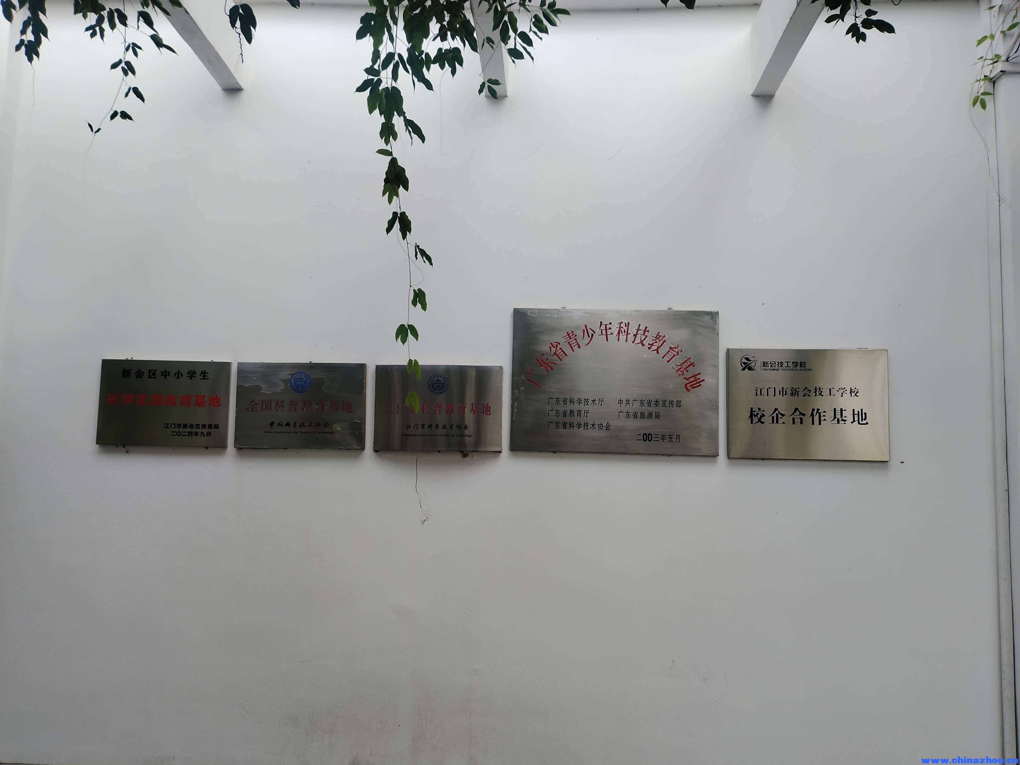 新会葵扇的历史