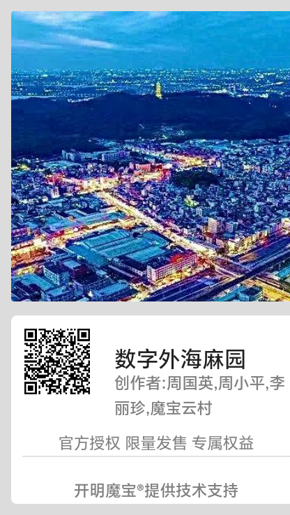 数字外海麻园