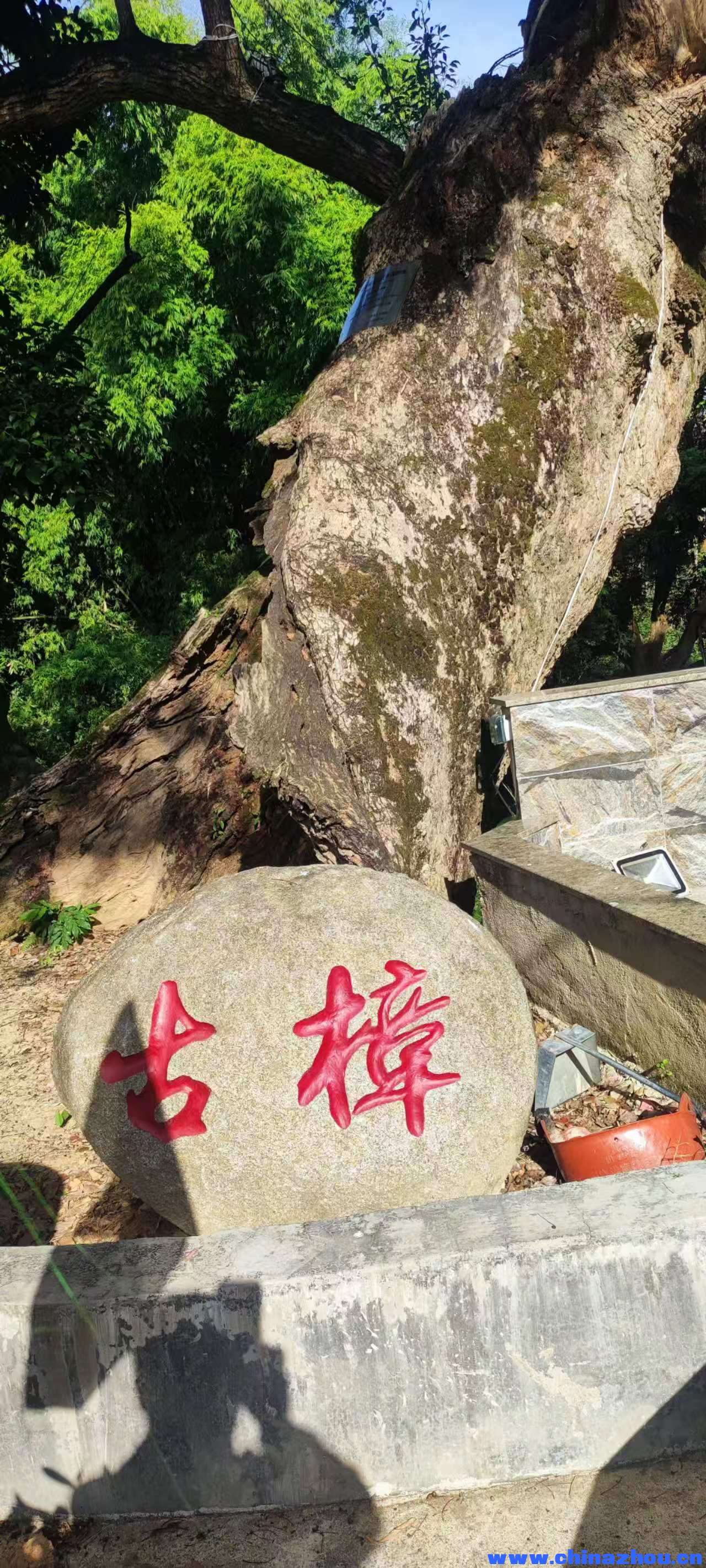 微信图片_20251130073236_270_2.jpg