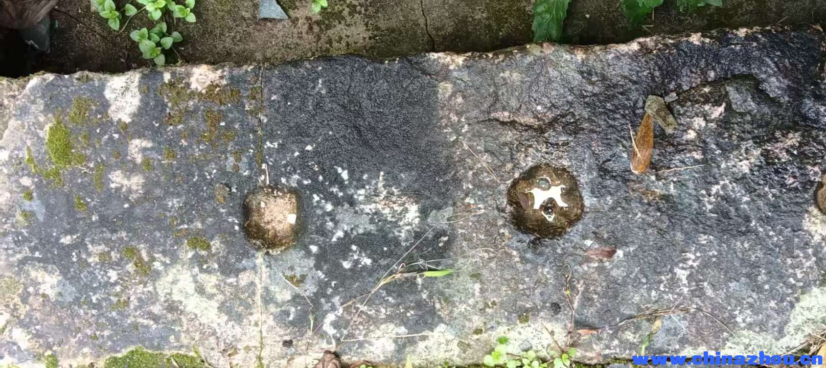 微信图片_20260228132328_48_44.jpg