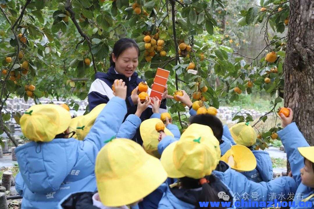 微信图片_20260406120206_326_140.jpg
