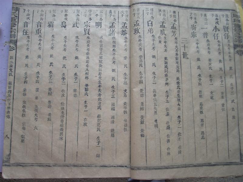 各地族人快来瞧：《周氏世系总图》