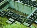 Mq1LyDzr.jpg