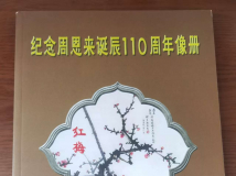 《纪念周恩来诞辰110周年像册》简介